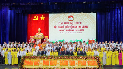 สหายโฮ ทันห์ ถวี ดำรงตำแหน่งประธานคณะกรรมการแนวร่วมปิตุภูมิเวียดนามประจำจังหวัดกาเมา