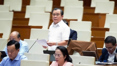 Undang-Undang Pers (yang telah diamandemen) akan menjadi undang-undang yang modern, manusiawi, dan tegas, serta mengedepankan perannya sebagai sarana informasi yang hakiki dan wadah yang luas bagi Rakyat.