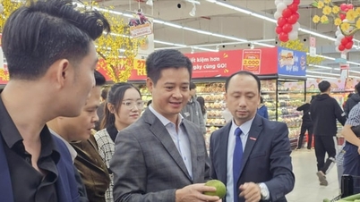 אירוע "לילה ללא שינה בהאנוי" 2025: