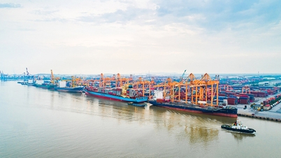 Hai Phong Liman Ortak Şirketi'nde liman operasyonlarında yenilik