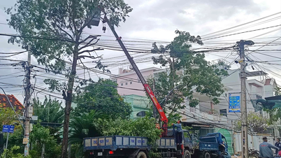 Komune Van Ninh: Periksa daerah rawan, tanggapi badai No. 15 secara proaktif