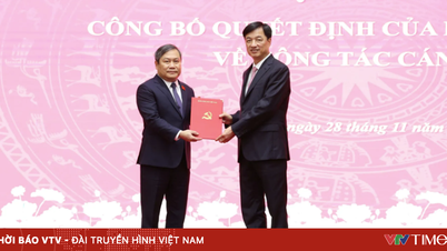 آقای وو دای تانگ سمت معاون دبیر کمیته حزب هانوی و رئیس کمیته خلق هانوی را بر عهده دارد.