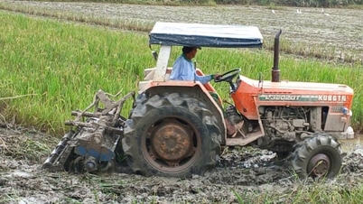 ‘Căn cơ’ vào vụ đông xuân với quyết tâm giành thắng lợi