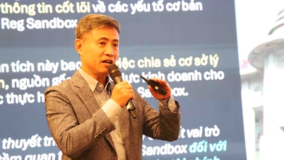 اولویت دادن به حفاظت از ثبات پولی و جلوگیری از خطر «دلاریزاسیون دیجیتال»