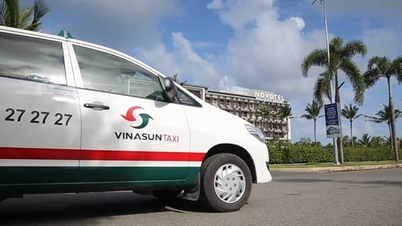 Vinasun (VNS): Leaders registered to buy nearly 5.5 million additional shares