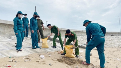 Район Нинь Чу: помощь жителям в укреплении их домов для преодоления последствий шторма № 15