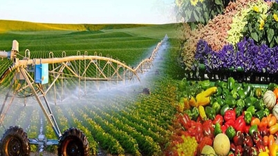 Az áfatörvény módosítása: Az adó-visszatérítések feloldása, a mezőgazdaság és az export tőkenyomásának csökkentése