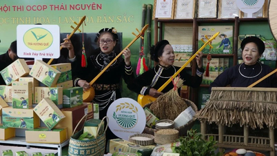 Thai Nguyen: Destillerar kvintessensen och sprider identiteten hos OCOP-produkter