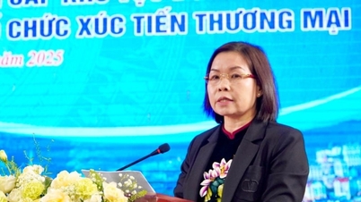 A kínálat és a kereslet összekapcsolása az északkeleti tartományok exportjának fellendítése érdekében