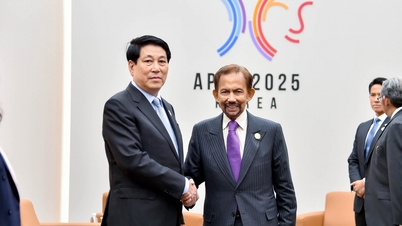 השגריר טראן אן וו: ביקורו של סולטן ברוניי מדגים את הכבוד והידידות החזקה כלפי וייטנאם.