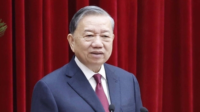 מסקנת המזכיר הכללי בנושא טיפול בילדים בנסיבות מיוחדות