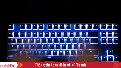 Proaktív védelem a kiberbűnözés ellen a „3 no-3 fast” módszerrel