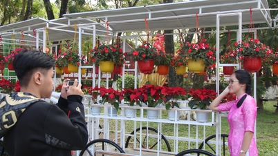 Главными темами Весеннего фестиваля цветов в год Лошади станут идентичность и интеграция.