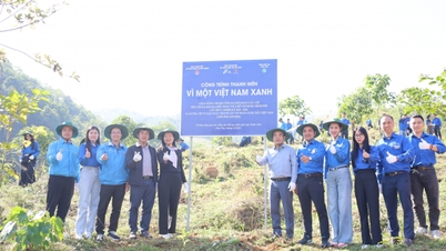 جوانان برای کاشت 20،000 درخت در پارک ملی شوان سون به هم پیوستند