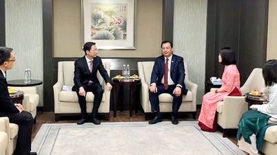 Vietnam - Zhejiang (China) orient strategic tourism cooperation in the new development stage