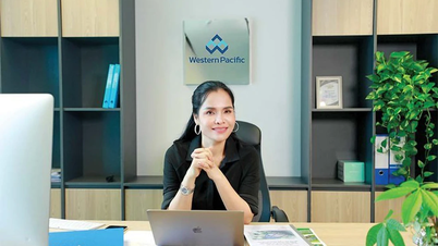 Portrait de la seule rose d'acier du Top 10 des Étoiles Rouges 2025