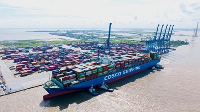 Hai Phong bekräftigt seine Rolle und hebt seine Stärken im Bereich der Vernetzung hervor.