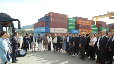 베트남 물류 포럼 2025 대표단, 다낭의 인프라 조사