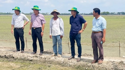 আন জিয়াং ১০০ জন শিক্ষার্থীকে কম নির্গমনকারী ধান উৎপাদন প্রক্রিয়া সম্পর্কে প্রশিক্ষণ দিচ্ছে