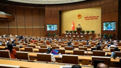 ບັນດາ​ຜູ້​ແທນ​ສະ​ເໜີ​ເພີ່ມ​ທ່າ​ກຳ​ປັ່ນ Con Ong - Hon Net ​ເຂົ້າ​ໃນ​ການ​ວາງ​ແຜນ​ກຳນົດ​ແຫ່ງ​ຊາດ