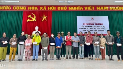 אגודת הצלב האדום דאק לק מעניקה חבילות סיוע חירום למשקי בית שנפגעו מסופה מספר 13.