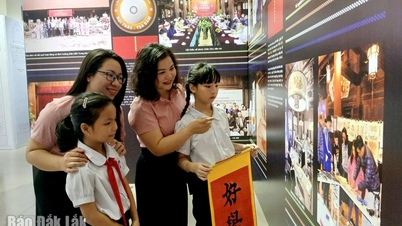 Ame a pátria em cada página de livros e viagens.