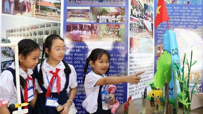 호치민시 학교 경매, 객관성 부족, 입찰 조작 위험 경고