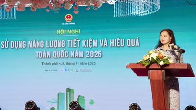 সবুজ রূপান্তর, শক্তি সঞ্চয় এবং দক্ষতা প্রচার করুন