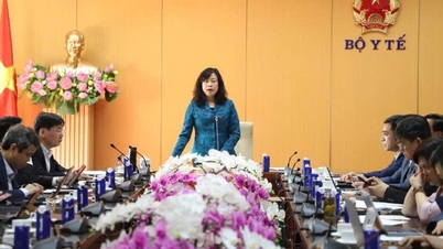 Wdrożenie Okólnika nr 43/2025 w sprawie funkcji, zadań, uprawnień i struktury organizacyjnej Stacji Zdrowia