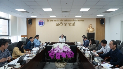 Online-Konferenz zur Umsetzung des Plans Nr. 310/KH - Städtisches Volkskomitee.