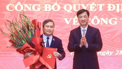 Herr Vu Dai Thang innehar befattningen som biträdande sekreterare för stadspartikommittén och ordförande för Hanois folkkommitté.