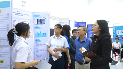 Средняя школа для одаренных детей Le Quy Don в Намнячанге организует конкурс по науке и технологиям на 2025-2026 учебный год.