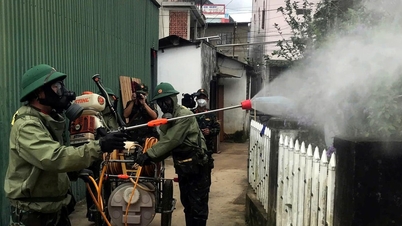 La provincia de Lam Dong ha controlado con éxito los brotes de enfermedades tras las inundaciones, evitando así una mayor propagación.
