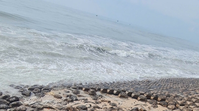 Mui Ne نے سمندری دیوار کے کٹے ہوئے علاقے میں کاروبار کو عارضی طور پر معطل کر دیا۔