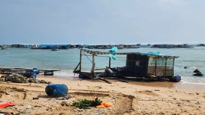 لام ڈونگ: بہت سے آبی زراعت کے پنجرے لہروں میں بہہ گئے...