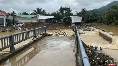 Кханьхоа потребує 148 мільярдів донгів для негайного ремонту пошкоджених іригаційних споруд