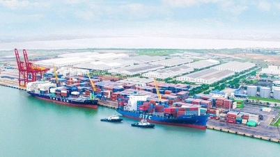 Створення Ради управління Відкритої економічної зони Чу Лай, місто Дананг