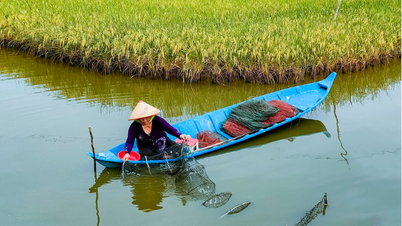 Département de l'Agriculture et de l'Environnement de Ca Mau : Promotion des ressources spéciales, promotion d'une réduction durable de la pauvreté durant la période 2026-2030