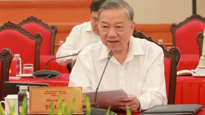 מסקנת המזכיר הכללי טו לאם בנושא טיפול והגנה על ילדים בנסיבות קשות במיוחד