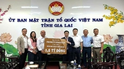 VICEM podporuje provincie Centrální a Střední vysočiny v rekonstrukci po bouřích a povodních