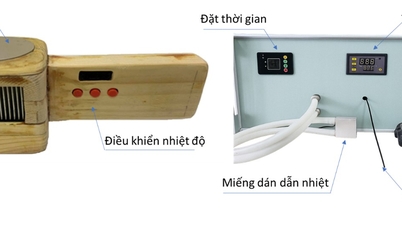 វិធីសាស្រ្តថ្មីក្នុងការព្យាបាលឆ្អឹងខ្នង និងជំនួយព្យាបាលមុខរបួស