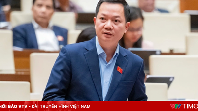 Депутати Національної асамблеї пропонують переглянути всю систему малих гідроенергетик та оцінити процедури скидання паводкових вод.