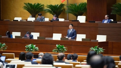 Reflejar correctamente la naturaleza y la relación entre los planes