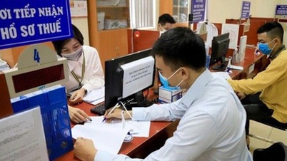 Förväntas gränsen för beskattningsbar inkomst för företagshushåll öka till 300 miljoner VND?