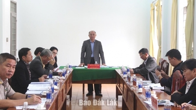 Керівники провінційних народних комітетів періодично приймають громадян у листопаді 2025 року