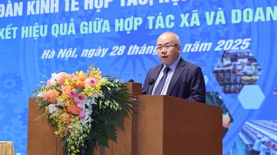 Vínculo cooperativa-empresa: beneficios multidimensionales