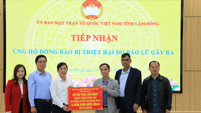 Fler orter stöder Lam Dong-provinsen i kampen mot översvämningar