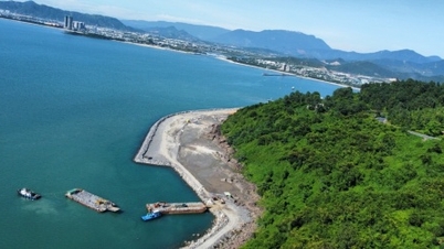 Da Nang attracts investment capital into Free Trade Zone and logistics infrastructure