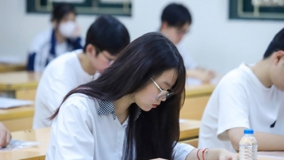 Багато університетів коригують методи вступу у 2026 році