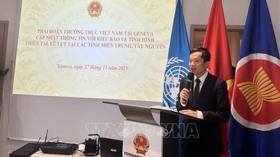 Oversjøiske vietnamesere i Genève i Sveits henvender seg til sine landsmenn i regionene Sentral- og Sentral-Høylandet.